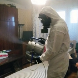 Дезинфекция от клопов в Кольчугино