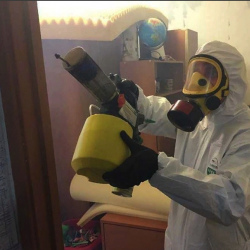 Уничтожение клопов в квартире. Кольчугино